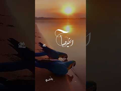 صباح الخيرات والبركات