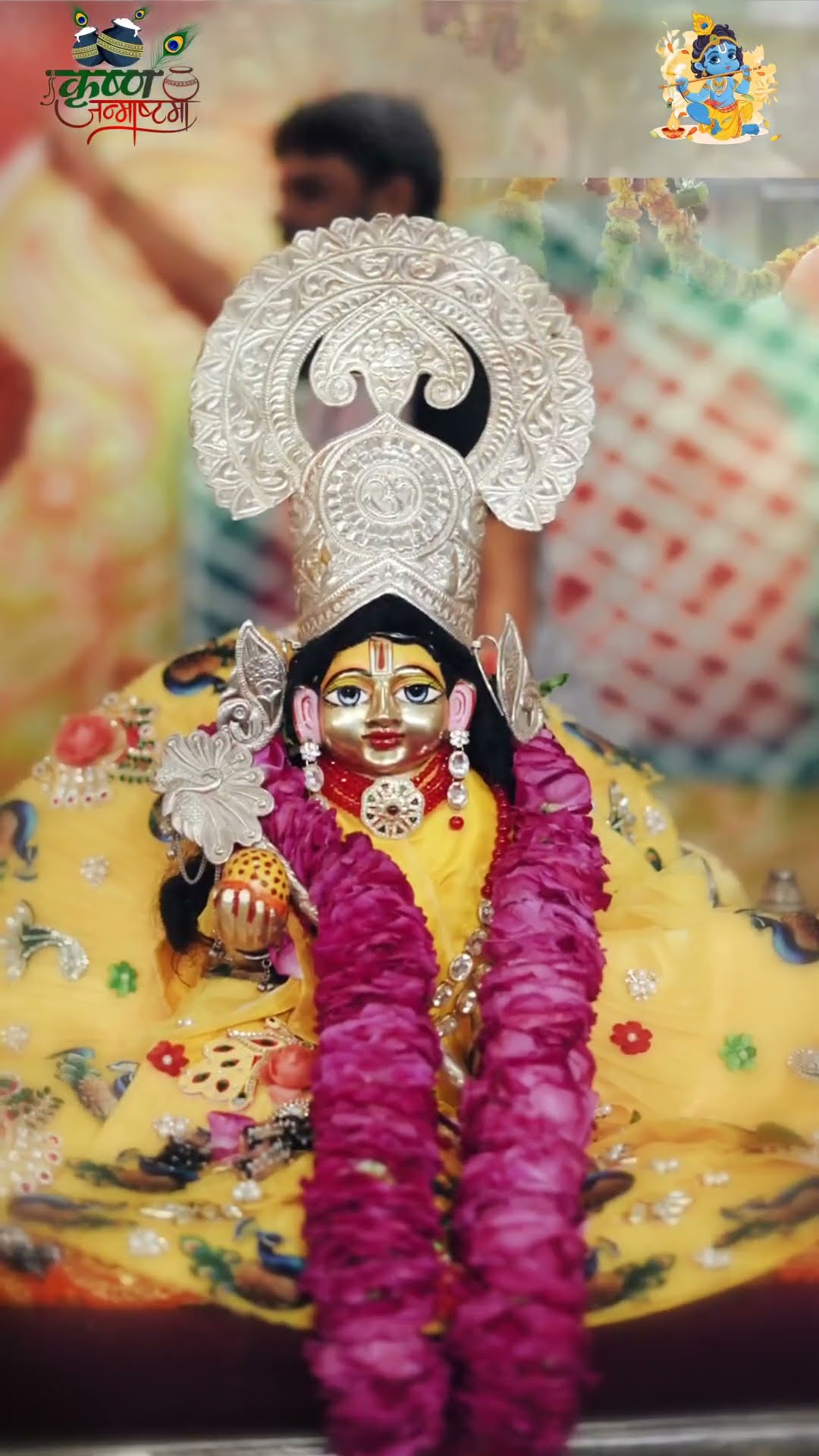 शेष पार्ट। जन्माष्टमी के पावन उपलक्ष्य में भव्य श्री ठाकुरजी के दिव्य अभिषेक और श्रृंगार के दर्शन