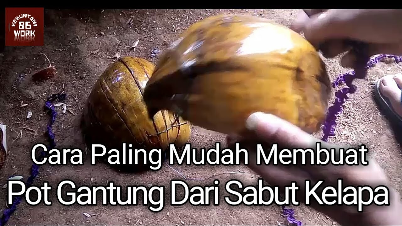 Cara membuat pot  dari sabut kelapa barang bekas  YouTube