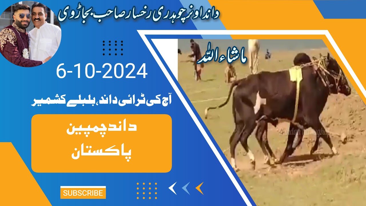 Ch Rukhsar champion Bull بلبلے kashmir today try at home ground masha Allah owner ...