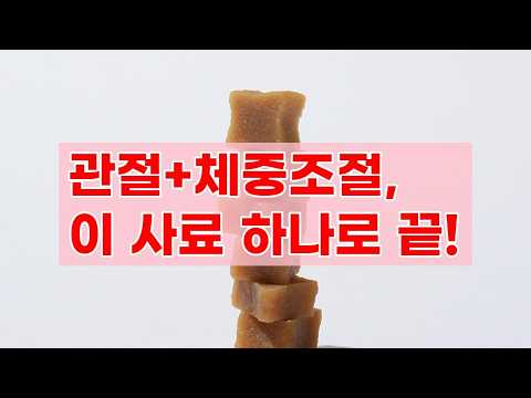 본아페티 플러스 프리미엄 기능성 수제사료: 관절 건강과 체중 조절을 위한 완벽한 선택!