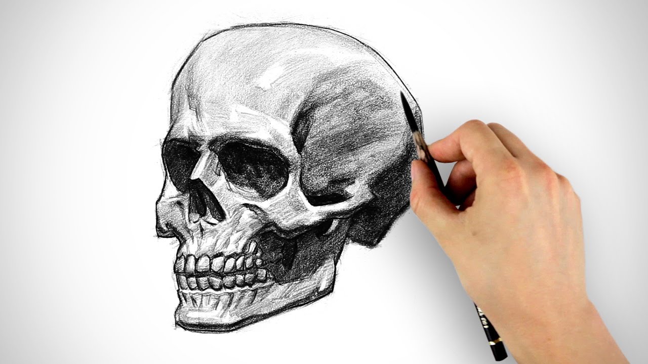 Draw a Skull - Halloween Special - YouTube