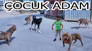 BEN TEK SİZ HEPİNİZ ÇOCUK ADAM VE AMERİKANBULLY YARGI MOD