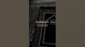 سالم الرويلي سورة القلم نون والقلم وما يسطرون
