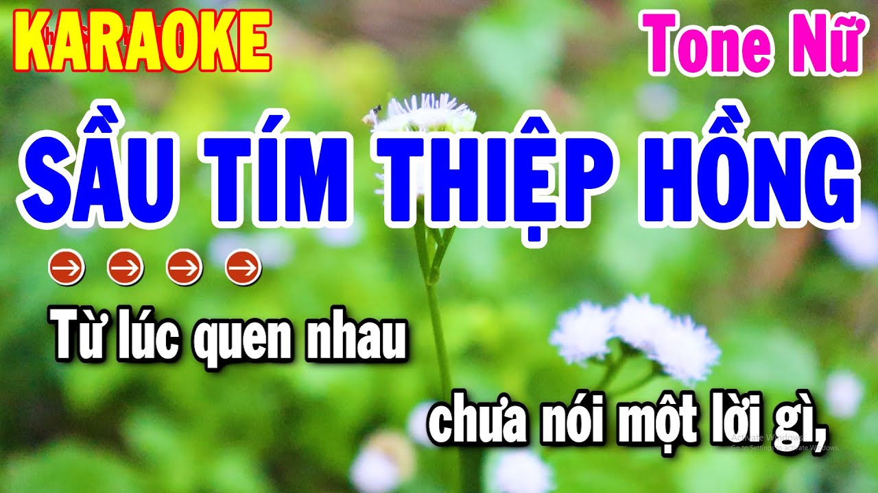 Karaoke Sầu Tím Thiệp Hồng Tone Nữ Rumba Beat Chuẩn 2024 | Nhạc Sống Hải Tiên