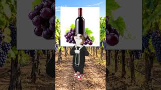 TYPES OF WINE