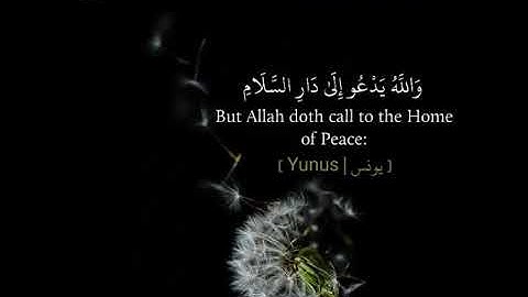 وَاللَّهُ يَدْعُو إِلَىٰ دَارِ السَّلَامِ﴾- سوره يونس﴿