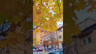 Ессентуки ул Интернациональная Осень 🍂 🍂 🍂