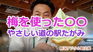 やさしい道の駅たがみ／田上町【新潟デジタル観光展アーカイブ】