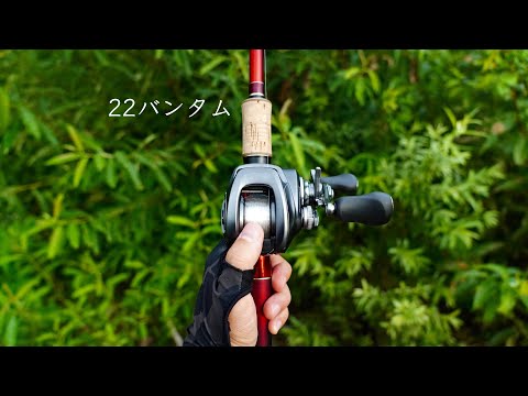 SHIMANO]シマノ 22バンタム[BANTAM][ベイトリール][2022] | バス