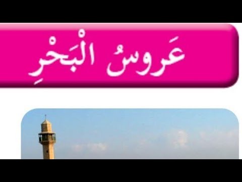 درس-عروس-البحر-لغة-عربية-للصف-الثالث-الإبتدائى-أسئلة-وحلول-ومعاني