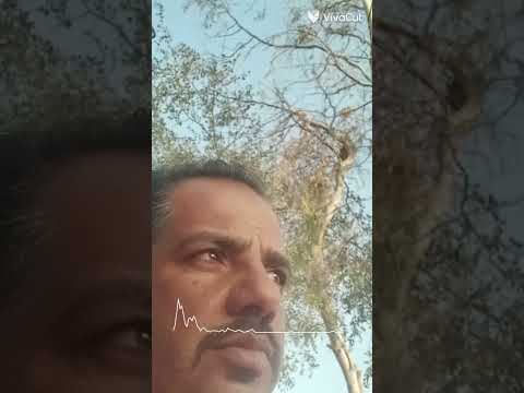 الحب خسارة في ناس غدارة