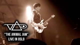 "The Animal Jam" live in Oslo!