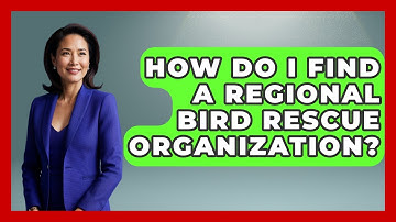 How Do I Find A Regional Bird Rescue Organization? - Bird Watching Diaries