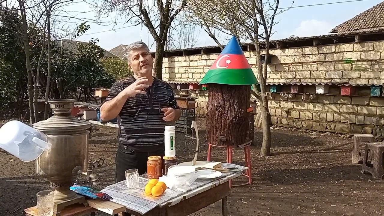 Martda arıları  probiotiklərlə yemlənməsi. Vetomlu şərbət.
