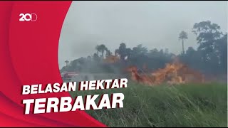 Taman Nasional Rawa Aopa di Sultra Terbakar!