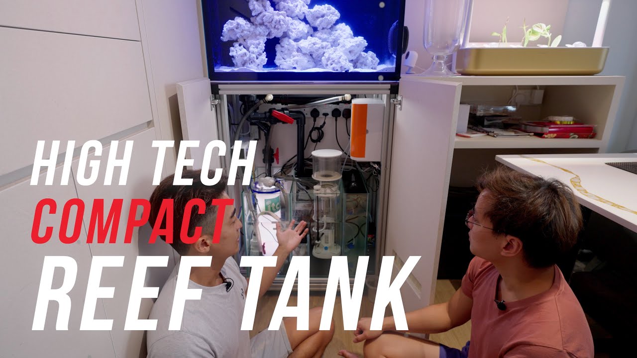 Tour of the compact 2ft reef tank setup YouTube