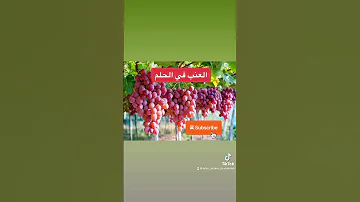 العنب في الحلم يدل علي الرزق و الخير و الذرية 