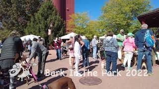 Bark In The Park Event 2022