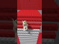 funcionou 🤔? #roblox#parkour #brookhaven #fypシ #funny #foryou #trend#memeblox#shortvideo