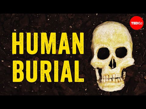 Video: What Happens To The Human Body After Death - Alternative View