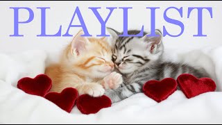 Emotional Pop Playlist | When Words Aren't Enough, Soft Café Vibes for Quiet Nights screenshot 5