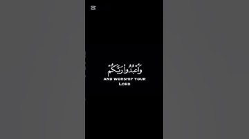 سورة الحج _ الآية 77 _ تلاوة رائعة _ ❤️📖 🤲