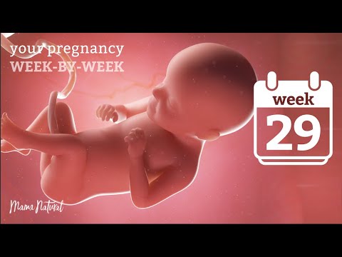 29 hetes terhesség – természetes terhesség hétről hétre