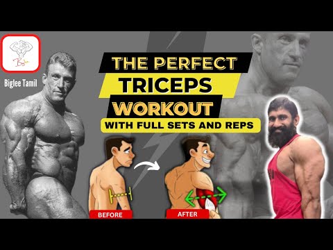 Perfect Triceps workout | Full workout with sets and reps |  Biglee Tamil