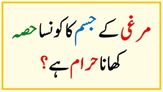 Islamic Common Sense Paheliyan in Urdu | Riddles in Hindi | General Knowledge | Knowledge Quiz #038 screenshot 4