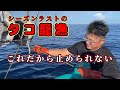 【タコ籠漁】嬉しい裏切り！【越前漁港の漁師達】