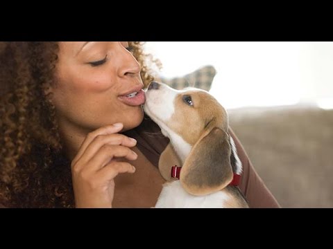 How to Be a Responsible Pet Parent