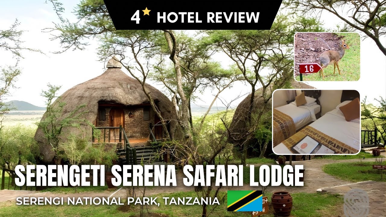 THE LAND OF LION KING 🦁! Serengeti Serena Safari Lodge 4⭐ Hotel Review [4K60]