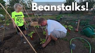 From Seed to Allotment | Planting French Beans with Eli