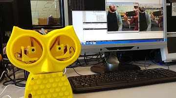 Stereo scanning vision