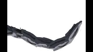 Unkown tail animation