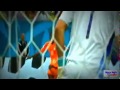 اهداف مباراة ساحل العاج واليابان 2 1 تعليق عصام الشوالي   4