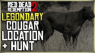 WHERE TO FIND THE LEGENDARY COUGAR LOCATION + HUNT - RED DEAD REDEMPTION 2