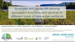 Wetland ecosystem functions and services
