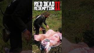 How to make hunting skins perfect in Red Dead Redemption 2