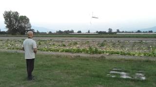 Parkmaster Alfredo & Niki 3D