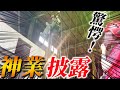 【驚愕映像】20階超えビル作業の再現！プロが現場で使っているフルハーネスの技とスピード感溢れるパフォーマンスにDIY初心者女子達敬服！