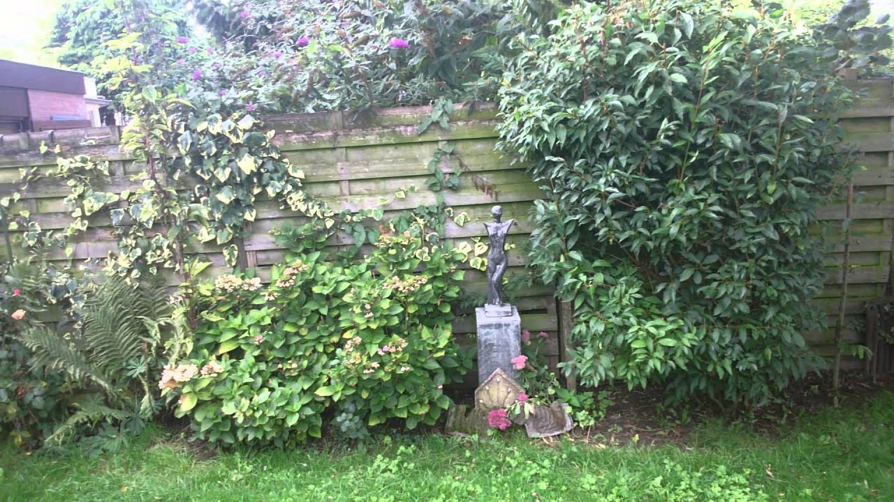 Videotest Sony Xperia Z Ultra