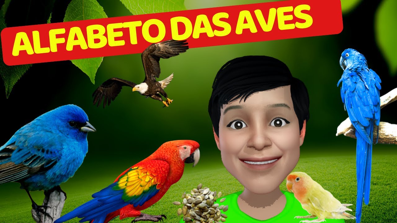 ALFABETO| AVES DE A a Z|Letras do Alfabeto #infantil#kids#alfabeto ...