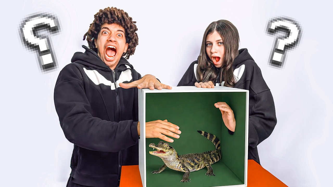 ايش الي في الصندوق؟ جبتلها تمساح 😱