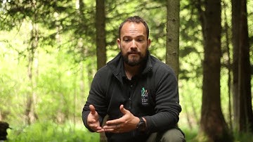 Camera trapping pt.2