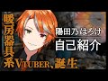 【自己紹介】暖房器具でもVtuberになれるんだってよ【陽田乃はろけ】