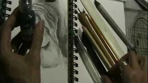 Pam Carriker's Sketching Ink by Derivan Matisse Product Demo