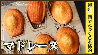 卵１個分で作るマドレーヌの作り方/How to make Madeleine