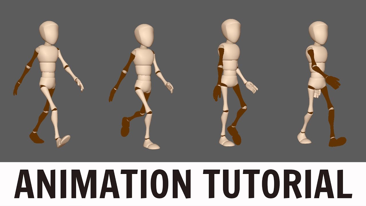 Female Walk Cycle Animation Walk Cycle Body Mechanics Animation ...